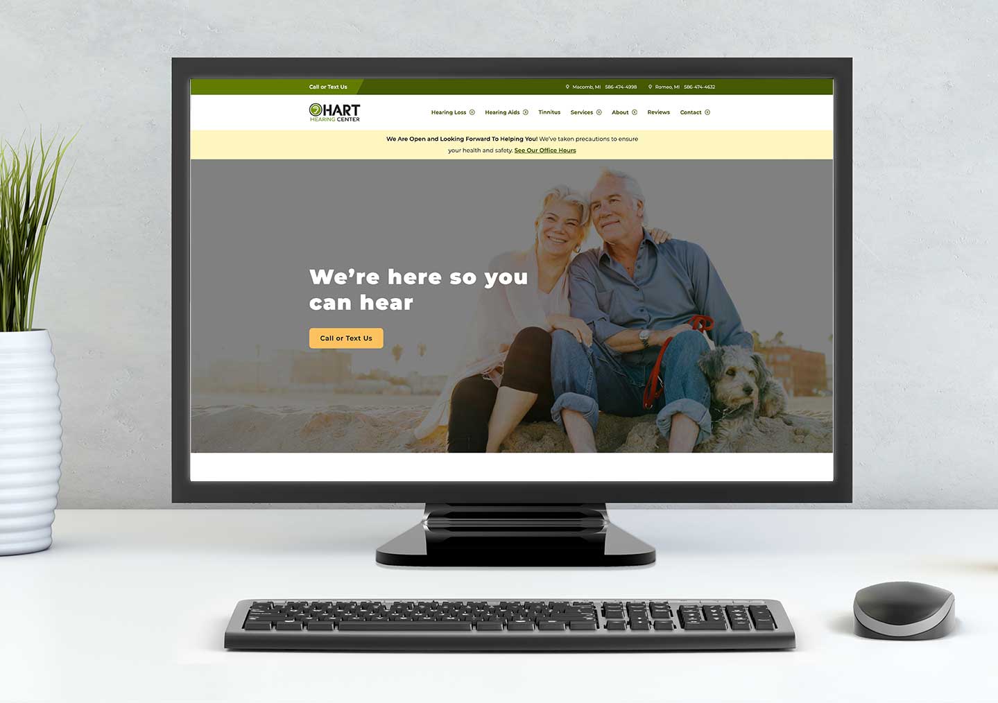 Top Website Design example for Hearing Specialists